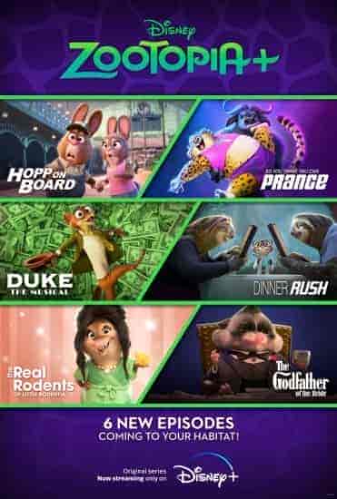 انمي +Zootopia مدبلجة