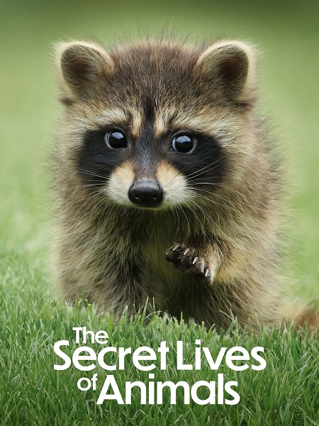 مسلسل The Secret Lives Of Animals مترجمة