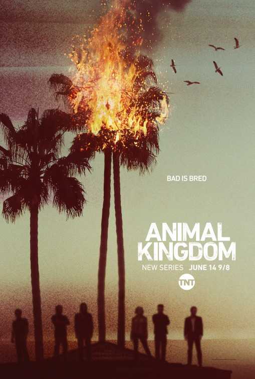 مسلسل Animal Kingdom الموسم 1 مترجمة