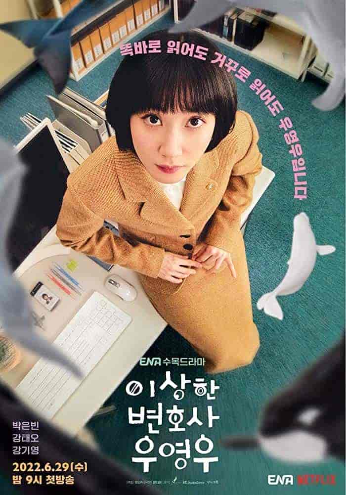 مسلسل المحامية الاستثنائية Extraordinary Attorney Woo مترجمة