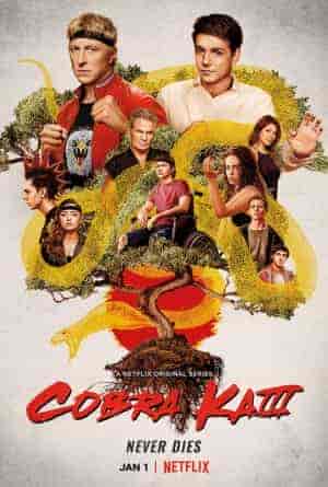 مسلسل Cobra Kai الموسم 3 مترجمة