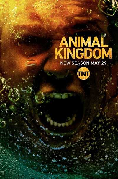 مسلسل Animal Kingdom الموسم 3 مترجمة