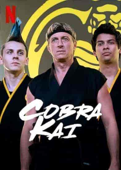 مسلسل Cobra Kai الموسم 2 مترجمة