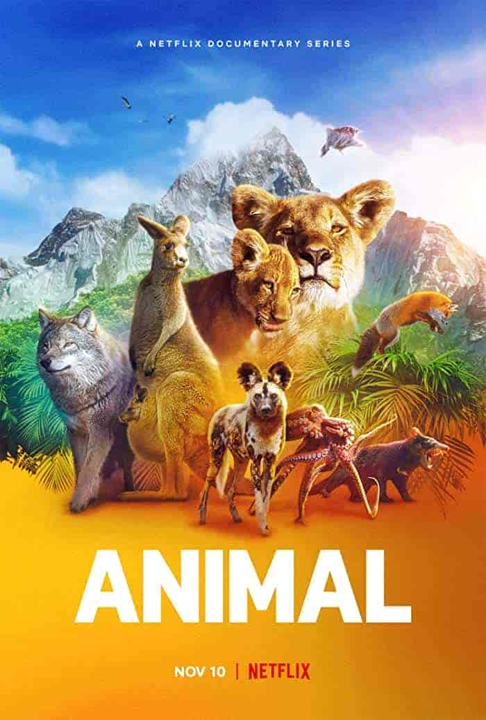 مسلسل Animal الموسم 1 مترجمة