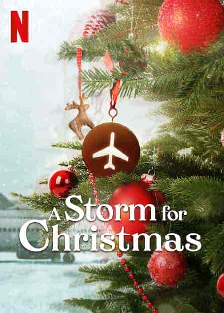 مسلسل A Storm For Christmas الموسم 1 مترجمة