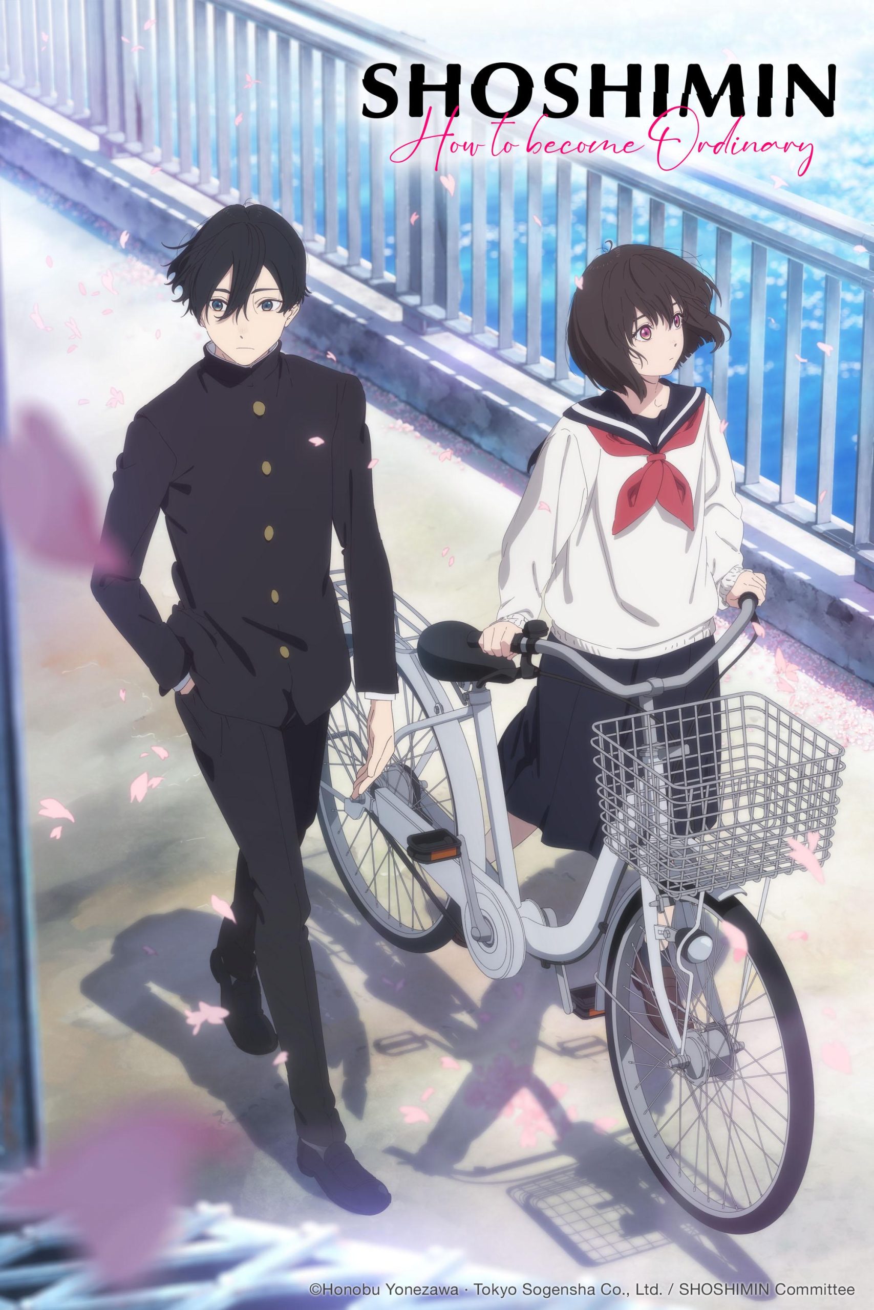 انمي Shoushimin Series مترجمة