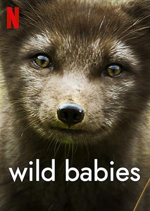 مسلسل Wild Babies الموسم 1 مترجمة