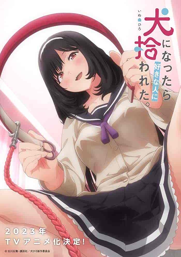 انمي .Inu Ni Nattara Suki Na Hito Ni Hirowareta مترجمة